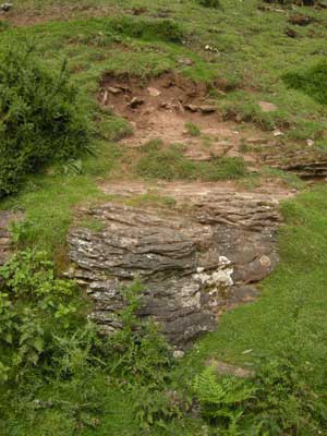 11_Sandstone_at_Nordey_Bank.jpg